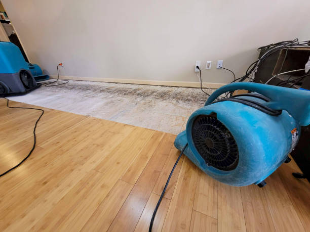 Professional Water Removal technician working in Clarksville, MD